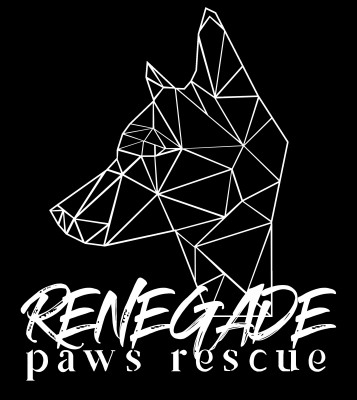 Renegade Paws Rescue - Pet Shelter and Rescue in Savannah, Georgia