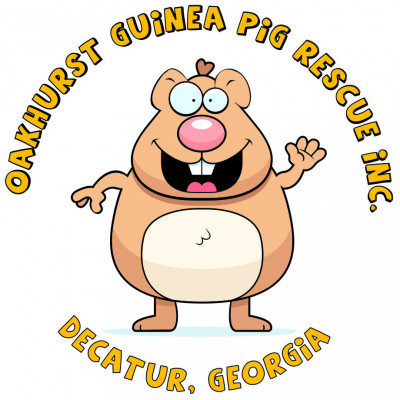 Oakhurst Guinea Pig Rescue - Pet Shelter and Rescue in Decatur, Georgia