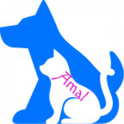 Amal Animal Rescue Foundation Inc - Pet Shelter and Rescue in Rome, Georgia