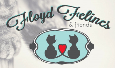 Floyd Felines - Pet Shelter and Rescue in Rome, Georgia