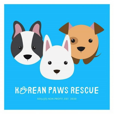 Korean Paws Rescue - Pet Shelter and Rescue in Stone Mountain, Georgia