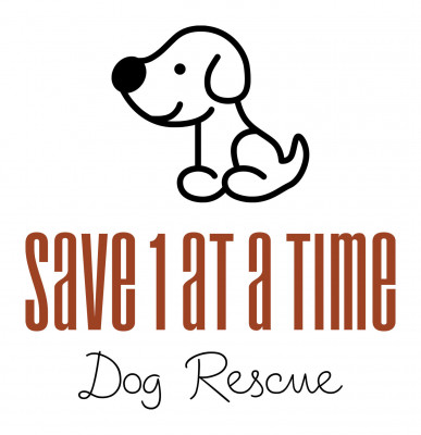 Save 1at A Time Inc - Pet Shelter and Rescue in Johns Creek, Georgia