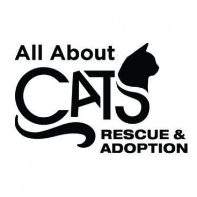 All About Cats Inc - Pet Shelter and Rescue in Roswell, Georgia