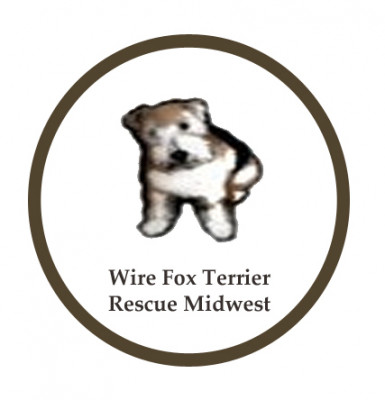 WIRE FOX TERRIER RESCUE MIDWEST - Pet Shelter and Rescue in Dumont, Iowa