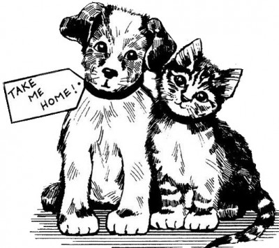 Creston Animal Rescue Effort/Creston City Pound - Pet Shelter and Rescue in Creston, Iowa