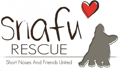 SNAFU Rescue-Short Noses And Friends United Rescue - Pet Shelter and Rescue in Council Bluffs, Iowa