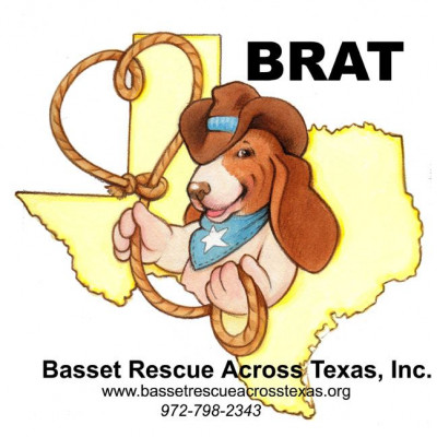 Basset Rescue Across Texas, Inc. - Pet Shelter and Rescue in Carrollton, Texas