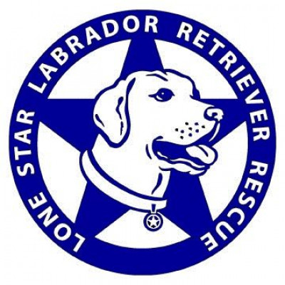 Lone Star Labrador Retriever Rescue - Pet Shelter and Rescue in Dallas, Texas