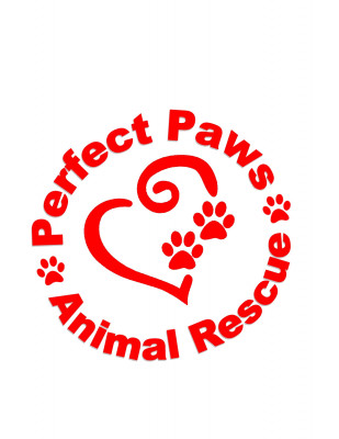 Perfect Paws Animal Rescue - Pet Shelter and Rescue in Bourbonnais, Illinois