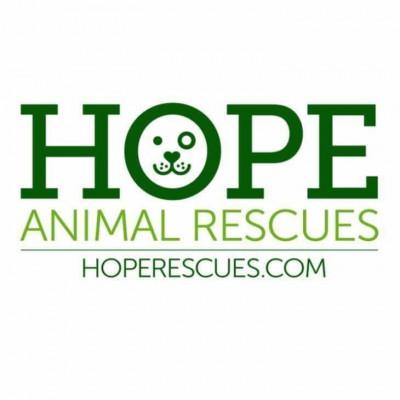 Hope Animal Rescues - Pet Shelter and Rescue in Godfrey, Illinois