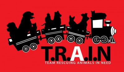 TRAIN - Team Rescuing Animals In Need - Pet Shelter and Rescue in Peoria, Illinois