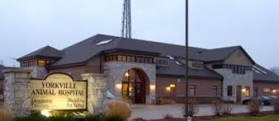 Yorkville Animal Hospital - Pet Shelter and Rescue in Yorkville, Illinois