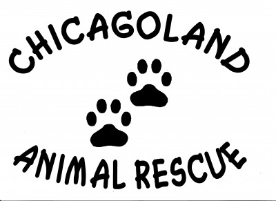 Chicagoland Animal Rescue NFP - Pet Shelter and Rescue in Downers Grove, Illinois