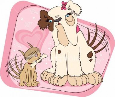 Rescue Tails Animal Welfare - Pet Shelter and Rescue in Lincolnwood, Illinois