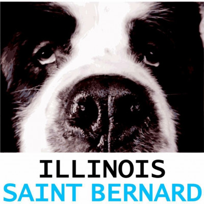 Illinois Saint Bernard Rescue - Pet Shelter and Rescue in Hindsboro, Illinois