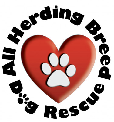 All Herding Breed Dog Rescue - Pet Shelter and Rescue in Joliet, Illinois