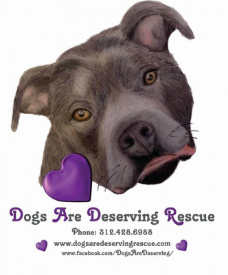 Dogs Are Deserving - Pet Shelter and Rescue in Crete, Illinois