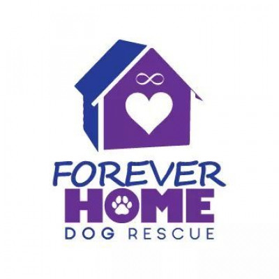 Forever Home Dog Rescue - Pet Shelter and Rescue in South Elgin, Illinois