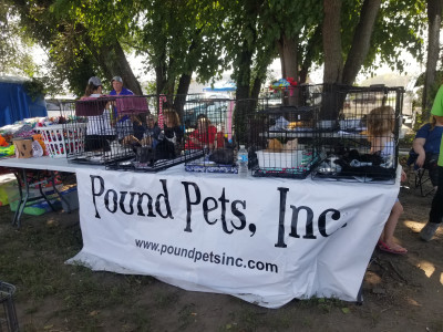 Pound Pets Inc. - Pet Shelter and Rescue