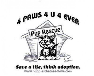 4 Paws 4 U 4 Ever - Pet Shelter and Rescue