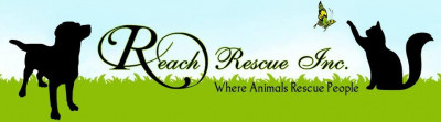 REACH Rescue Inc. - Pet Shelter and Rescue in Mundelein, Illinois