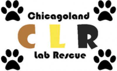 Chicagoland Lab Rescue - Pet Shelter and Rescue in Highland Park, Illinois