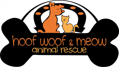 Hoof Woof Meow Animal Rescue - Pet Shelter and Rescue in Elgin, Illinois