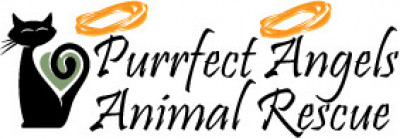 Purrfect Angels Animal Rescue - Pet Shelter and Rescue in Balch Springs, Texas