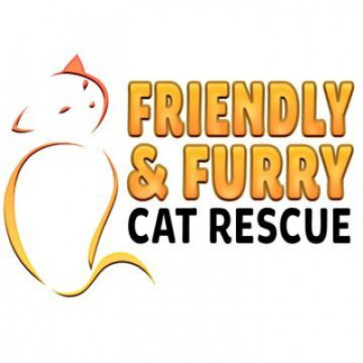 Friendly & Feral Cat Rescue - Pet Shelter and Rescue in Schaumburg, Illinois