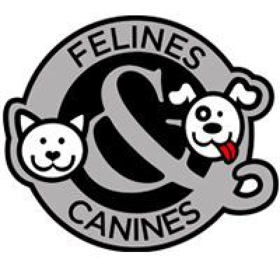 Felines & Canines - Pet Shelter and Rescue in Chicago, Illinois