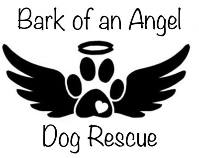 Bark Of An Angel Dog Rescue,inc - Pet Shelter and Rescue in Algonquin, Illinois