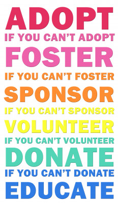 Midwest Rescue Volunteers - Pet Shelter and Rescue in Lisle, Illinois