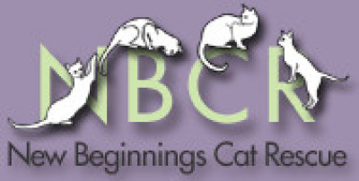 New Beginnings Cat Rescue - Pet Shelter and Rescue in Garland, Texas
