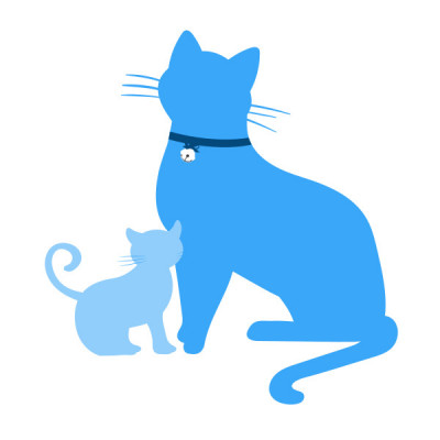 White Oaks Adoptable Kittens - Pet Shelter and Rescue in Dixon, Illinois