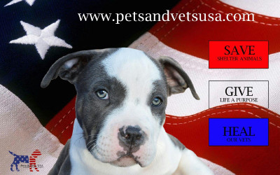 Pets And Vets USA - Pet Shelter and Rescue in Roselle, Illinois
