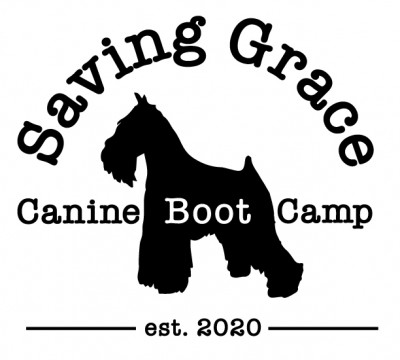 Saving Grace Canine Boot Camp, Inc. - Pet Shelter and Rescue in Mount Vernon, Illinois