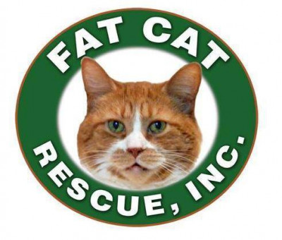 Fat Cat Rescue, Inc. - Pet Shelter and Rescue in Beach Park, Illinois