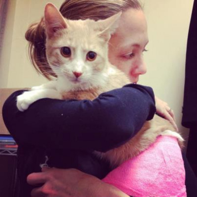 CARF: The Critical Animal Relief Foundation - Pet Shelter and Rescue in Chicago, Illinois