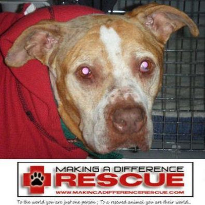 Making A Difference Rescue - Pet Shelter and Rescue in Channahon, Illinois