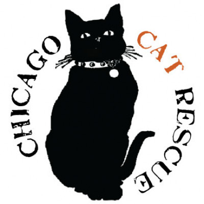 Chicago Cat Rescue - Pet Shelter and Rescue in Chicago, Illinois