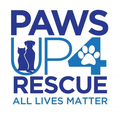 Paws Up 4 Rescue - Pet Shelter and Rescue in Shorewood, Illinois