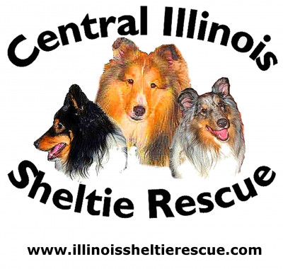 Central Illinois Sheltie Rescue - Pet Shelter and Rescue in Towanda, Illinois
