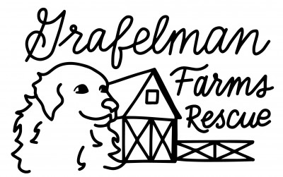 Grafelman Farms Rescue NFP - Pet Shelter and Rescue in West Peoria, Illinois