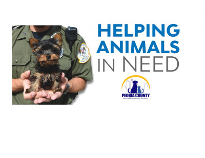 Peoria Animal Welfare Shelter - Pet Shelter and Rescue in Peoria, Illinois