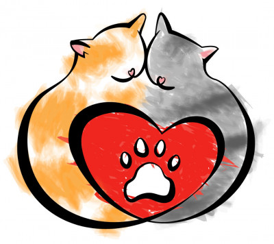 Paws On My Heart, Inc. - Pet Shelter and Rescue in Carmel, Indiana