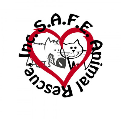 S.A.F.E. Animal Rescue INC - Pet Shelter and Rescue in Linton, Indiana