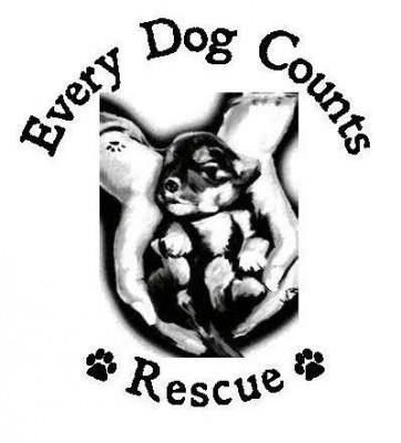 Every Dog Counts Rescue - Pet Shelter and Rescue in Crows Nest, Indiana