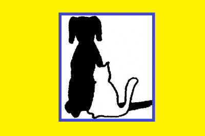 Hendricks County Humane Society - Pet Shelter and Rescue in Danville, Indiana