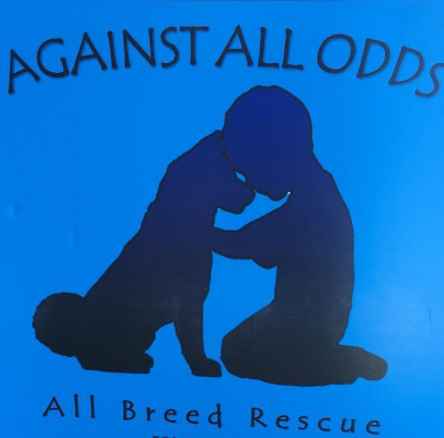 Against All Odds All Breed Rescue - Pet Shelter and Rescue in Plano, Texas