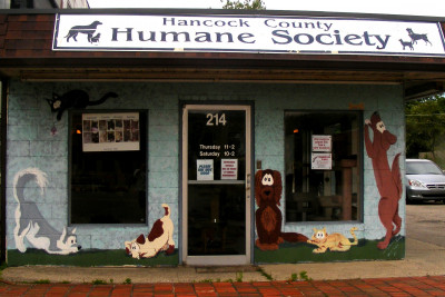 Hancock County Humane Society - Pet Shelter and Rescue in Greenfield, Indiana